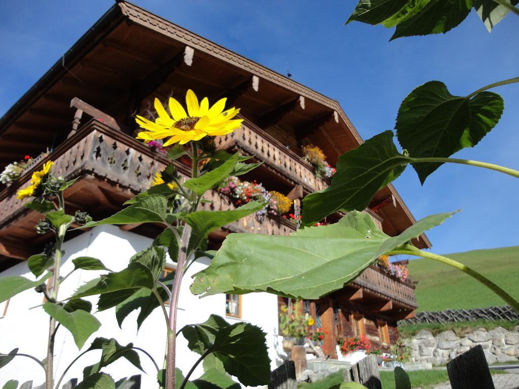 Gastehaus Biobauernhof Brennsteinhof Apartment Mittersill Ngoại thất bức ảnh